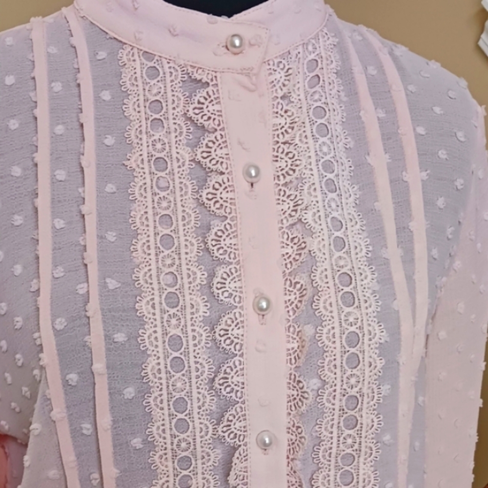 POL Swiss Dot Lace Accent Pale Pink Blouse NWOT  Small - Picture 12 of 13